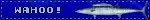 Wahoo! Fish banner
